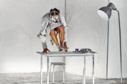 Spectacle, Typhus Bronx