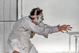 Spectacle, Typhus Bronx
