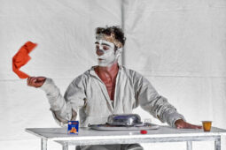 Spectacle, Typhus Bronx