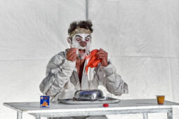 Spectacle, Typhus Bronx