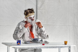 Spectacle, Typhus Bronx