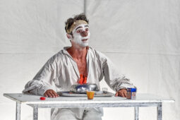 Spectacle, Typhus Bronx