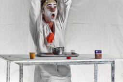 Spectacle, Typhus Bronx