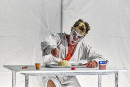 Spectacle, Typhus Bronx