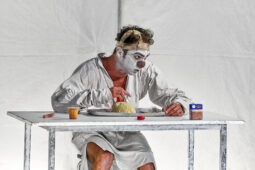 Spectacle, Typhus Bronx
