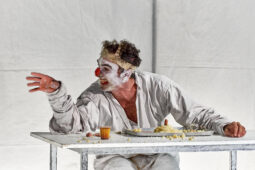 Spectacle, Typhus Bronx