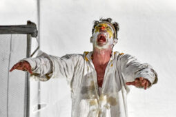 Spectacle, Typhus Bronx