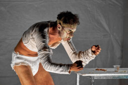 Spectacle, Typhus Bronx