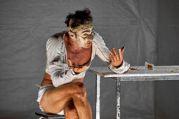 Spectacle, Typhus Bronx