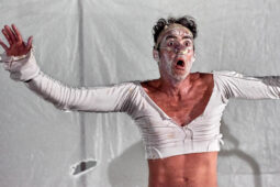 Spectacle, Typhus Bronx