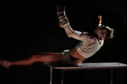 Spectacle, Typhus Bronx