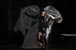 Spectacle, Typhus Bronx