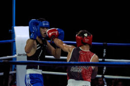 Sport, Boxe