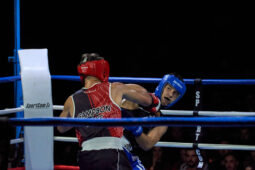 Sport, Boxe