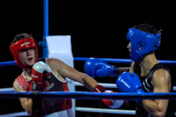 Sport, Boxe