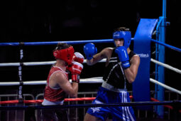 Sport, Boxe
