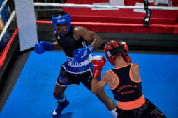 Sport, Boxe