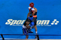 Sport, Boxe