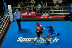 Sport, Boxe