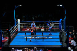 Sport, Boxe