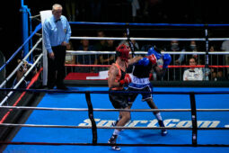 Sport, Boxe