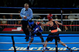 Sport, Boxe