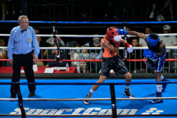 Sport, Boxe