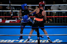 Sport, Boxe