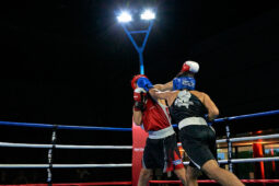 Sport, Boxe
