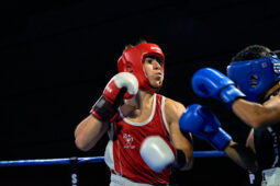 Sport, Boxe