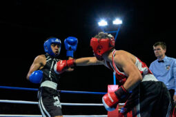 Sport, Boxe