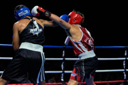 Sport, Boxe