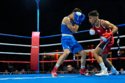 Sport, Boxe