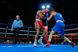 Sport, Boxe