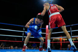 Sport, Boxe