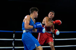 Sport, Boxe