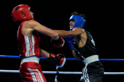 Sport, Boxe