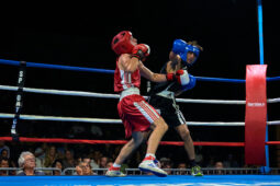 Sport, Boxe