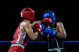 Sport, Boxe