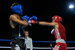 Sport, Boxe