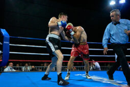 Sport, Boxe