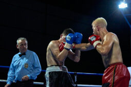 Sport, Boxe