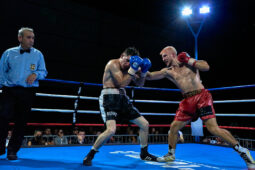 Sport, Boxe
