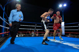 Sport, Boxe