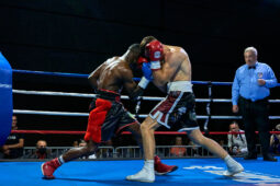 Sport, Boxe