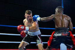 Sport, Boxe