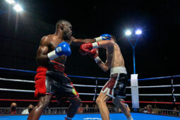Sport, Boxe