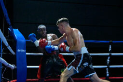 Sport, Boxe