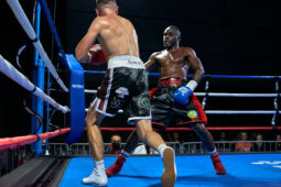 Sport, Boxe