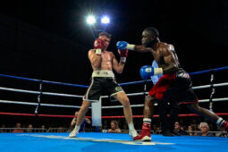 Sport, Boxe